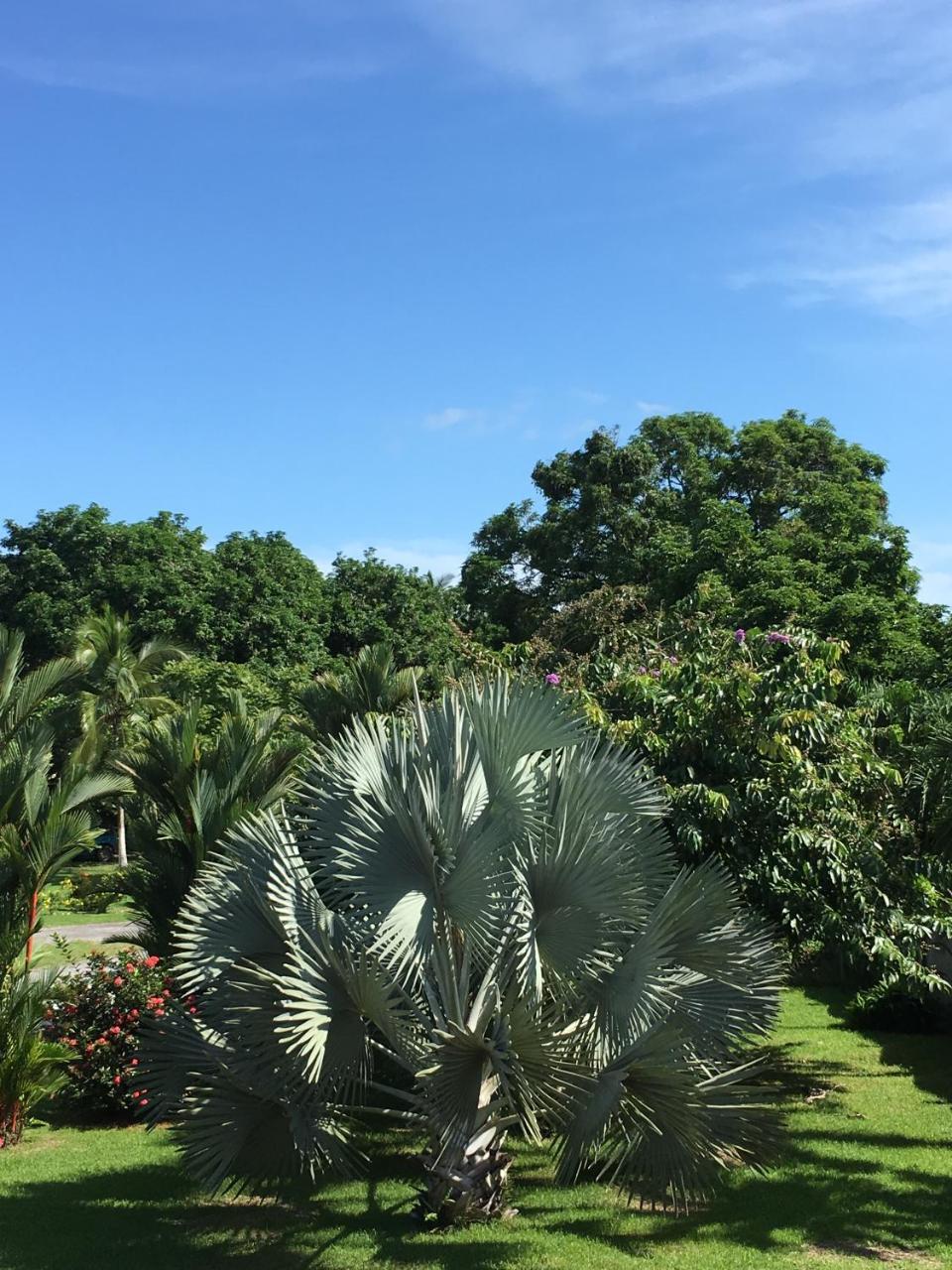 Hotel Los Higuerones Paso Canoas Luaran gambar